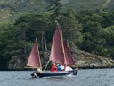 Swallows chasing Amazons